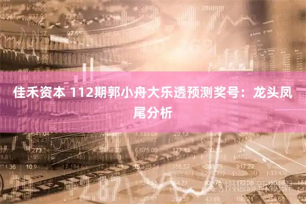 佳禾资本 112期郭小舟大乐透预测奖号：龙头凤尾分析