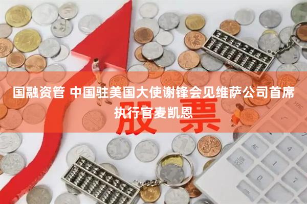 国融资管 中国驻美国大使谢锋会见维萨公司首席执行官麦凯恩
