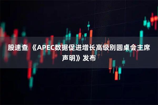 股速查 《APEC数据促进增长高级别圆桌会主席声明》发布